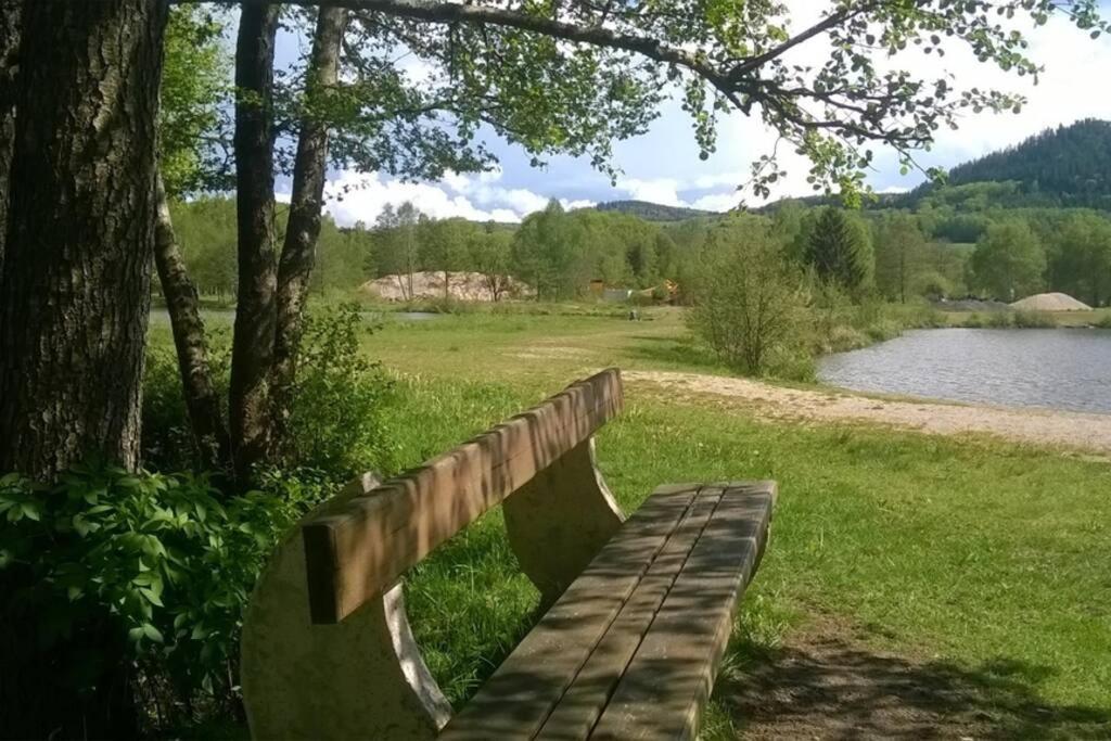 Les Gites De L Etang :Studio A 20 Mn De Gerardmer La Chapelle  Exteriér fotografie