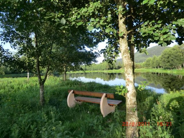 Les Gites De L Etang :Studio A 20 Mn De Gerardmer La Chapelle  Exteriér fotografie