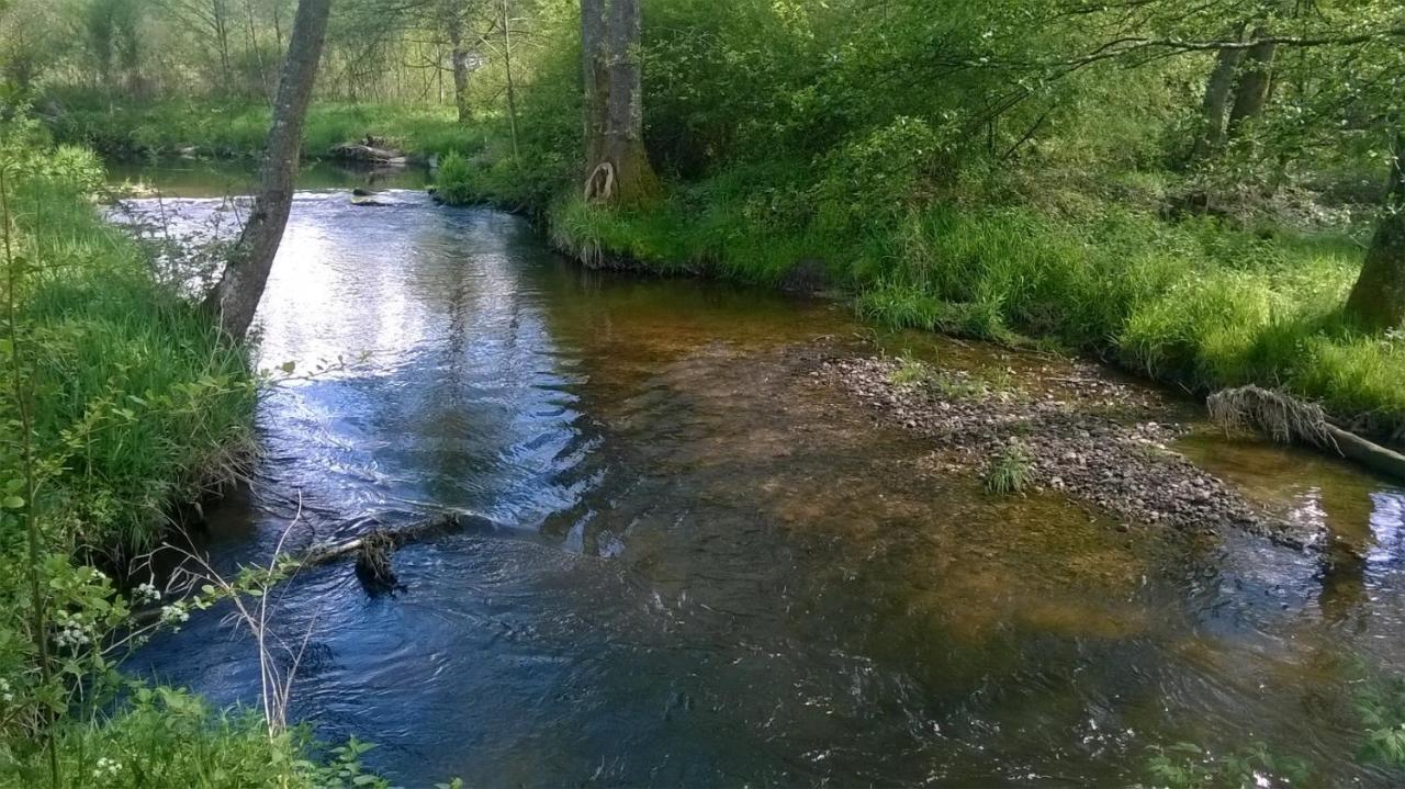 Les Gites De L Etang :Studio A 20 Mn De Gerardmer La Chapelle  Exteriér fotografie
