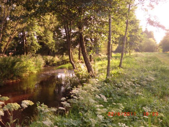 Les Gites De L Etang :Studio A 20 Mn De Gerardmer La Chapelle  Exteriér fotografie